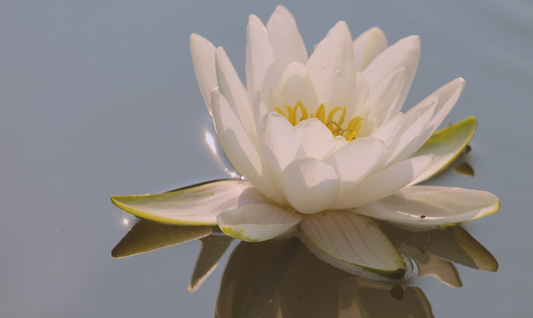 Innerstand (meditation)